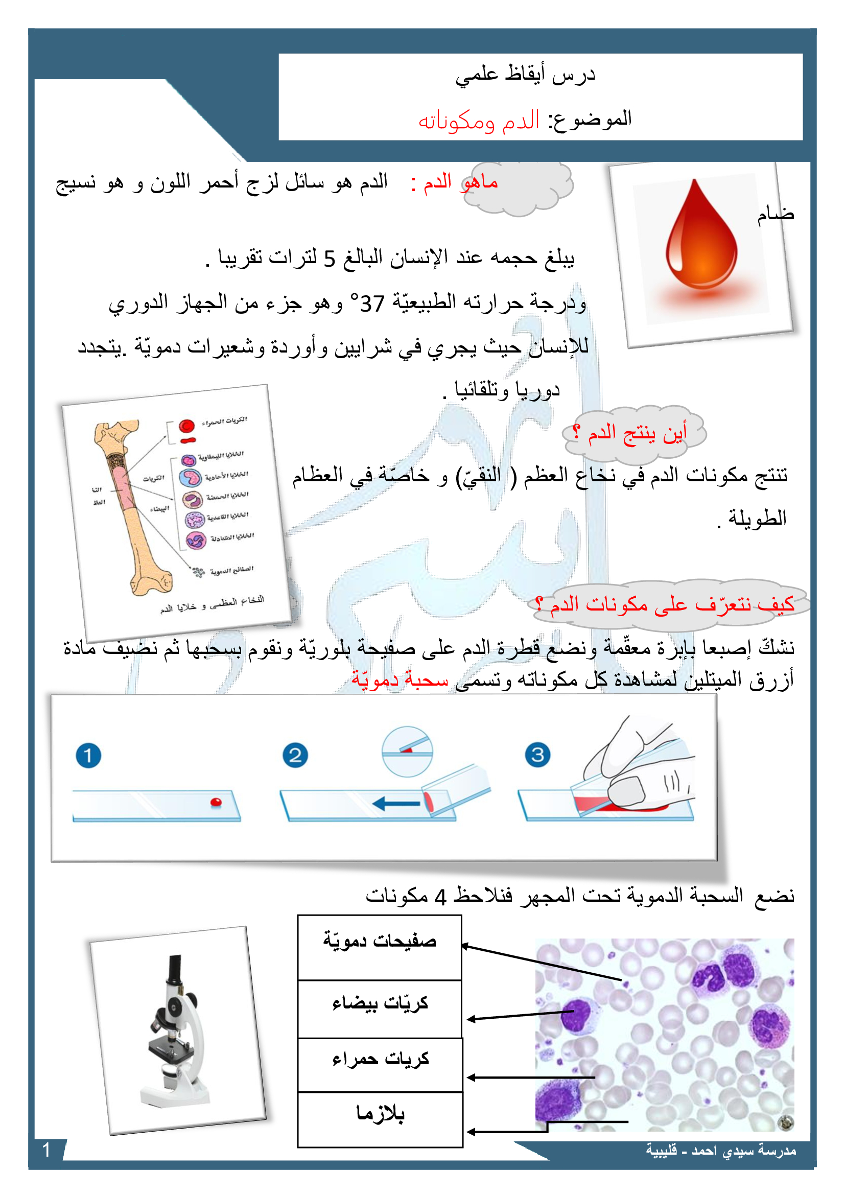 مكونات الدم