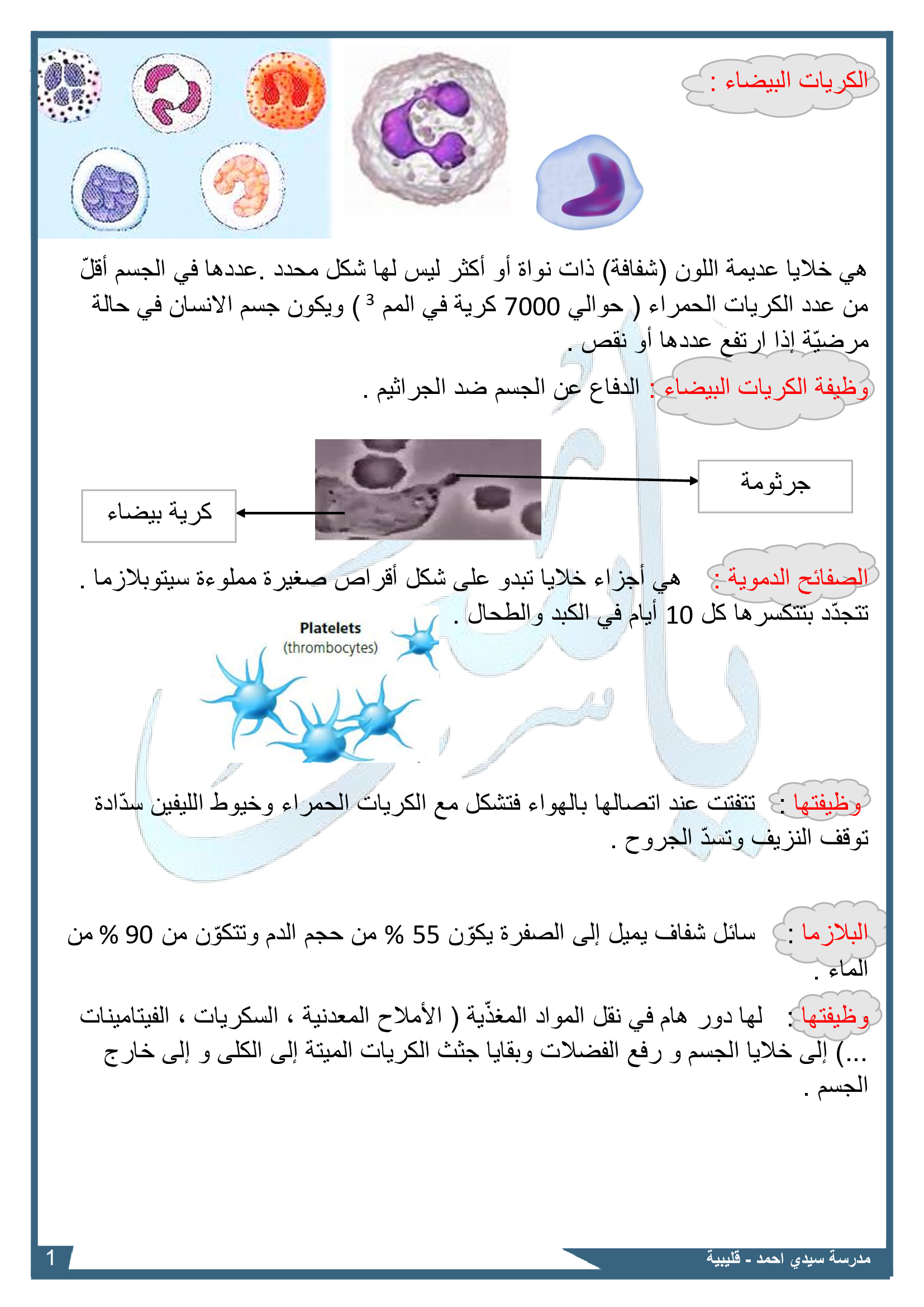 مكونات الدم Next Page